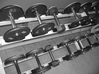 weights-8878631280